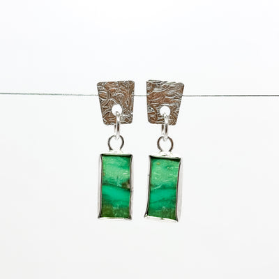 Fossil Opalized Wood Earrings