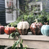 Small Speckled Teal Pumpkin